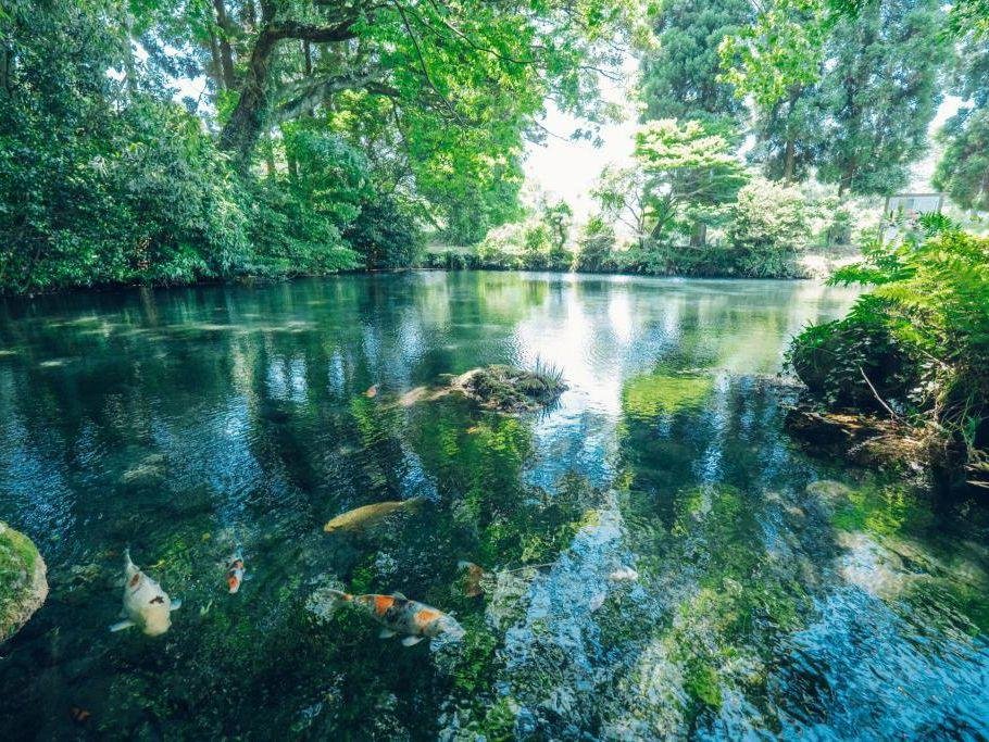 🏞️ 묘진 연못 명수 공원(묘진이케 메이스이 코엔) 이미지 1